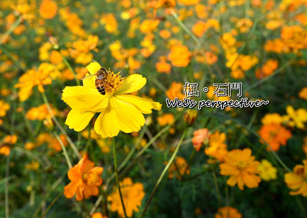 http://i.dcview.tw/gallery/201212/8eb64032f1d31ac6043979d0877647c1.jpg