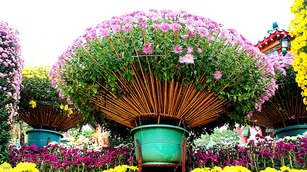 http://i.dcview.tw/gallery/201212/92dffcd2b3a77d45cc6690ebd4174f8d.jpg