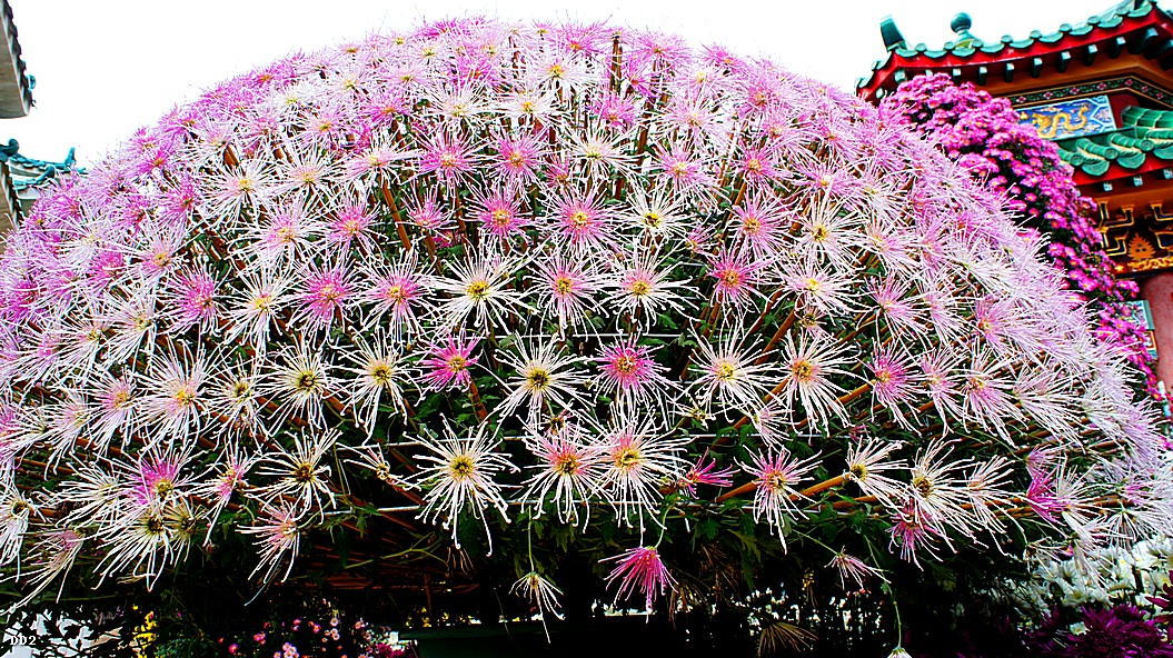 http://i.dcview.tw/gallery/201212/9492e4e609b1d485816d45e8c82b1040.jpg