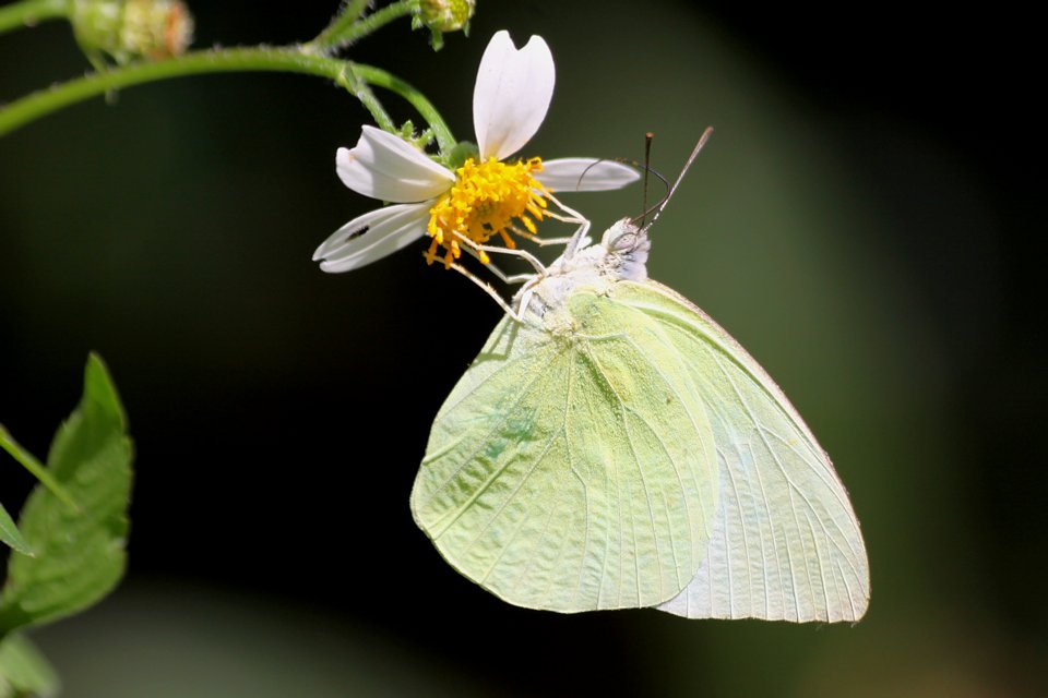 http://i.dcview.tw/gallery/201212/9bb73f256a01082cae6c470c72820fa0.jpg