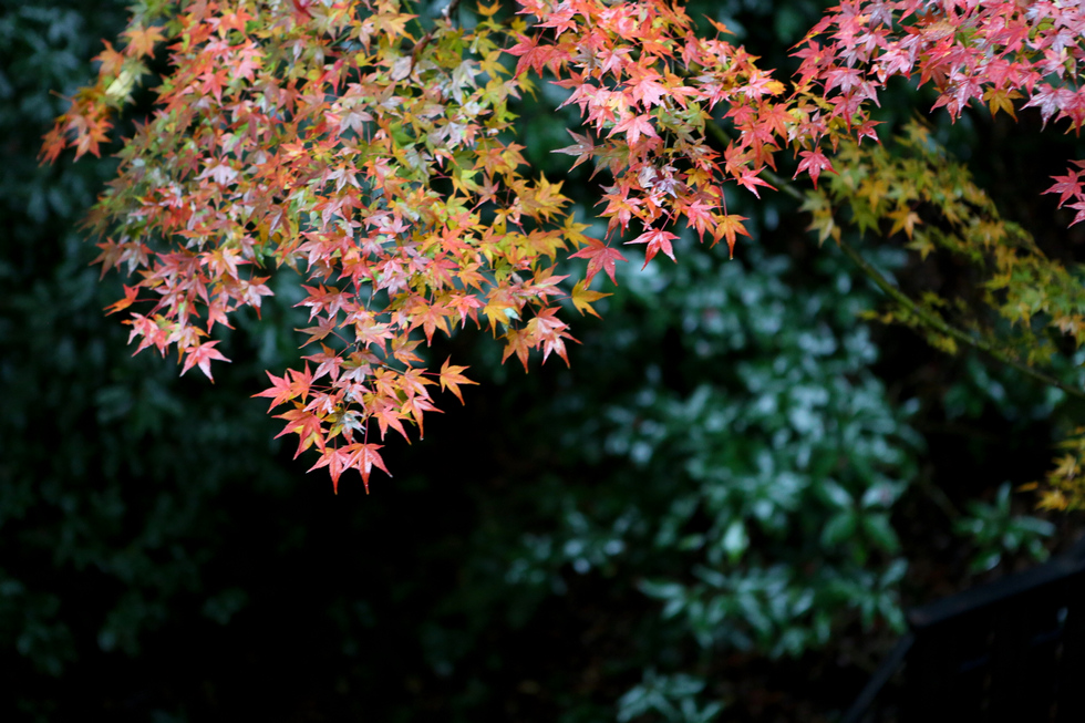 http://i.dcview.tw/gallery/201212/a3a8b3d4017f35d317dea5f3f3771f62.jpg
