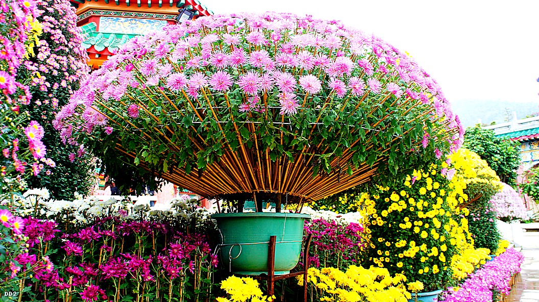 http://i.dcview.tw/gallery/201212/ac3185e0d305833d264f9e5fcde64b33.jpg