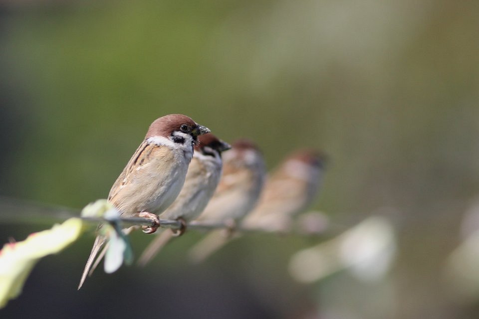 http://i.dcview.tw/gallery/201212/b909a68e11c4f318242be163afaad635.jpg