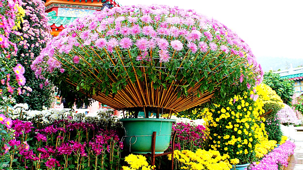 http://i.dcview.tw/gallery/201212/b921551d8928398364c442e5a2356613.jpg