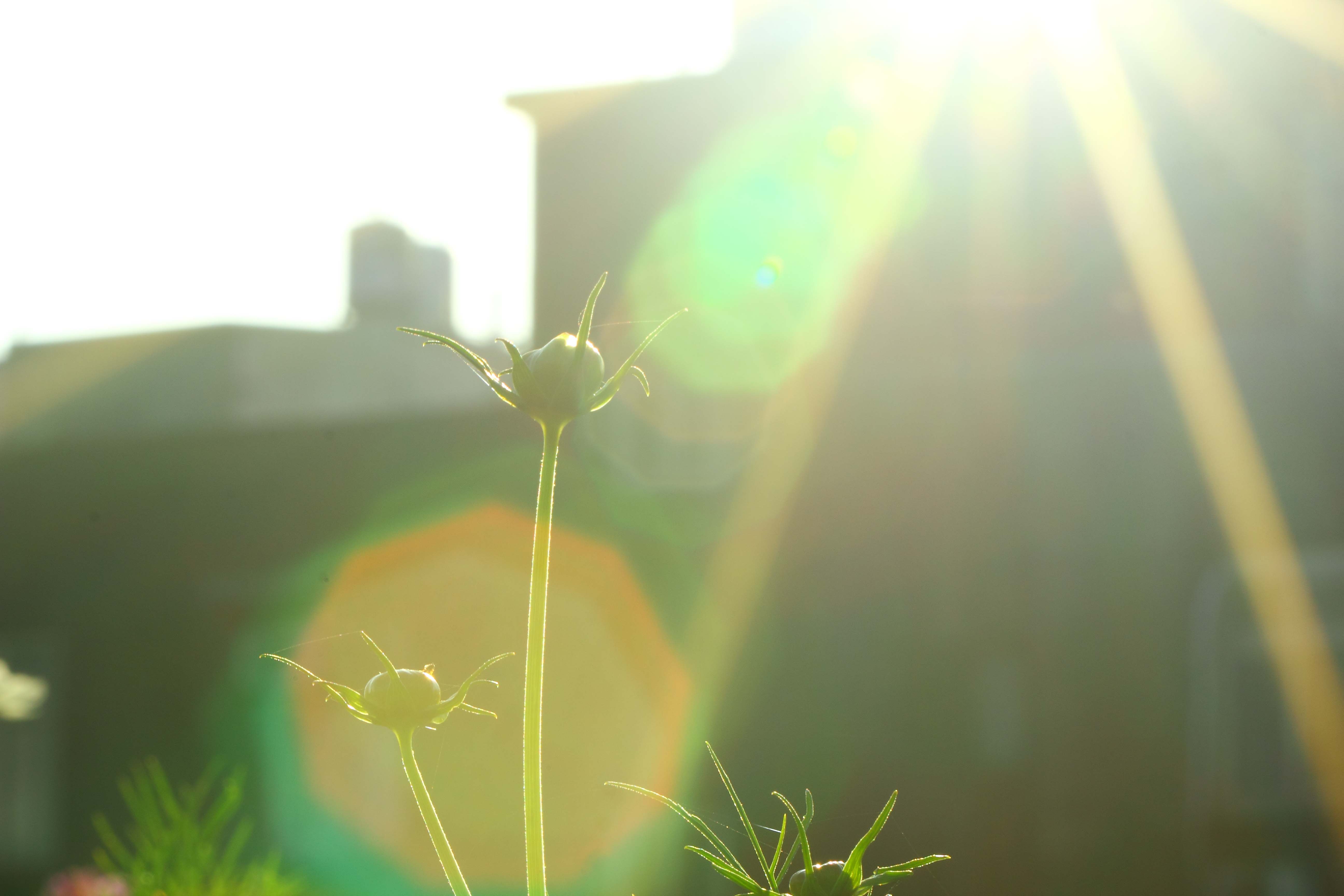 http://i.dcview.tw/gallery/201212/b9a5100b5afc790a0e865a0cea02d061.jpg