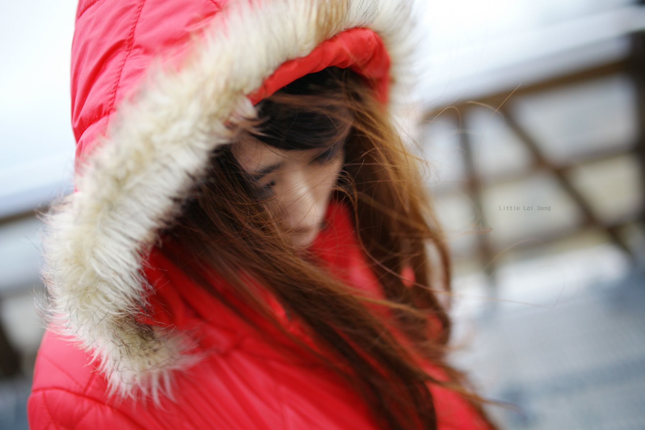 http://i.dcview.tw/gallery/201212/ba83b5566470c7e99df85baaa462b568.jpg
