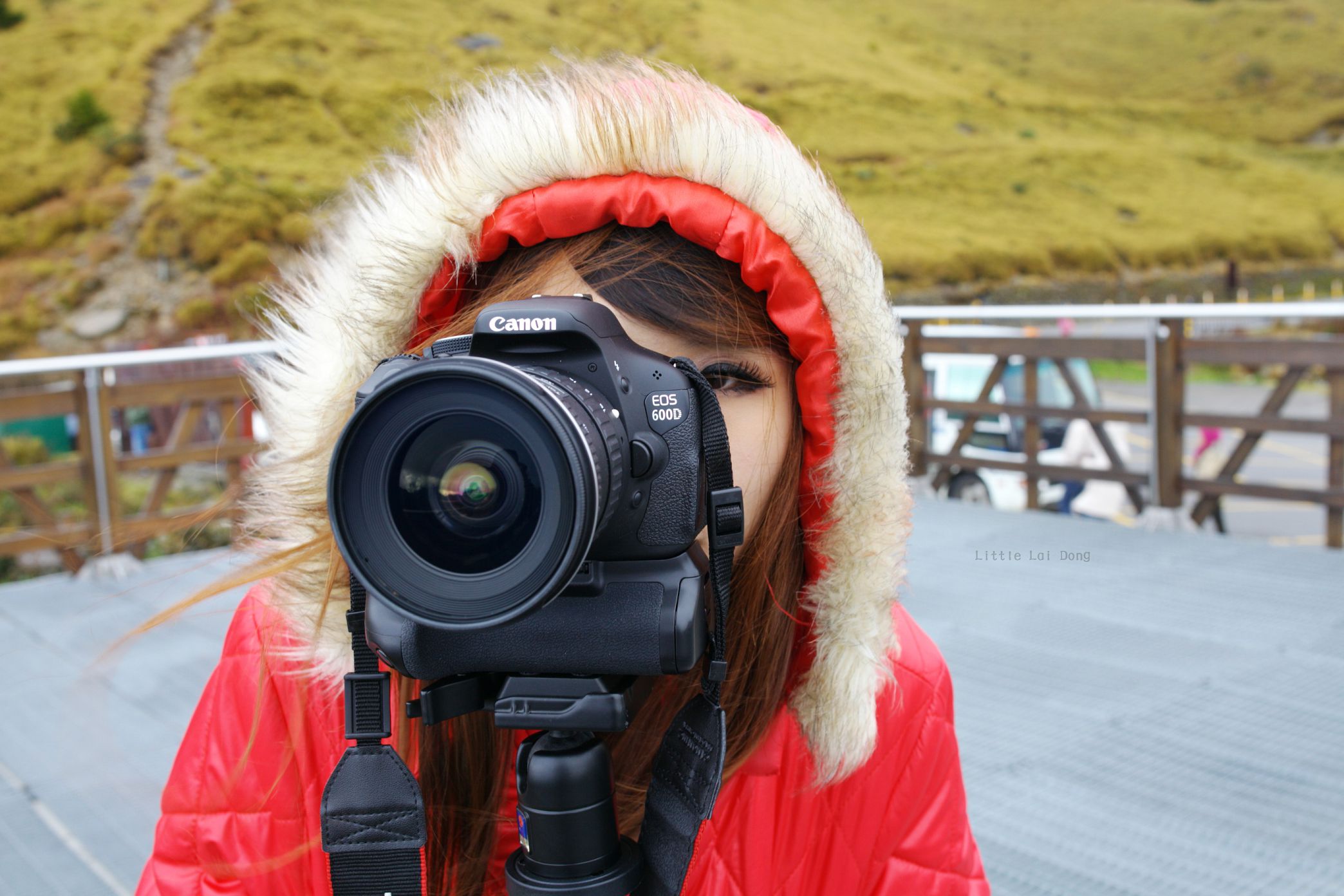 http://i.dcview.tw/gallery/201212/bb6112f2daf920de301319ab90962fd7.jpg