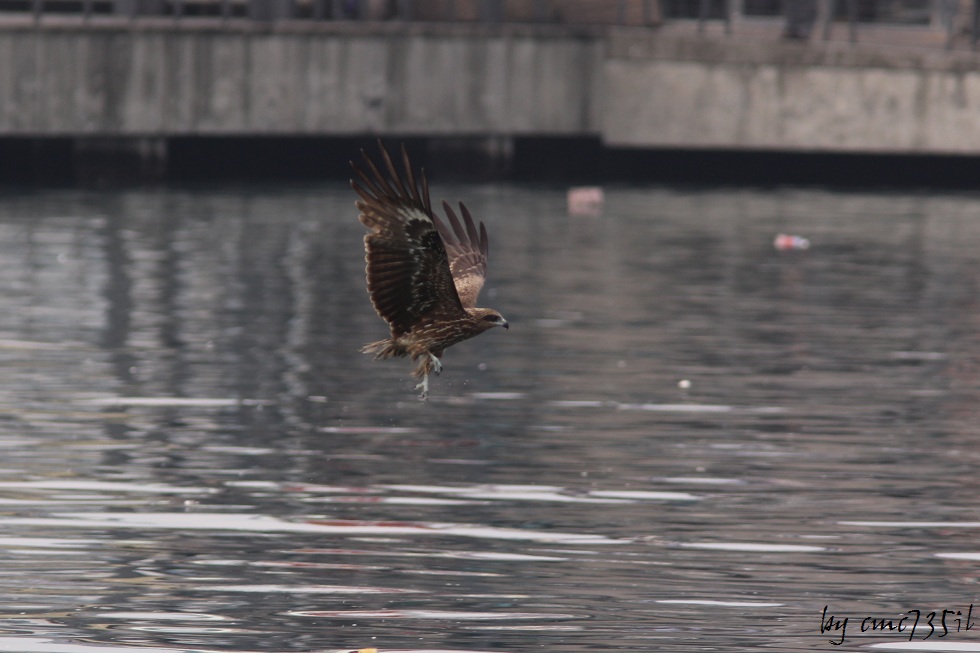 http://i.dcview.tw/gallery/201212/bd8b0d9376459559630f9a98852261b3.jpg