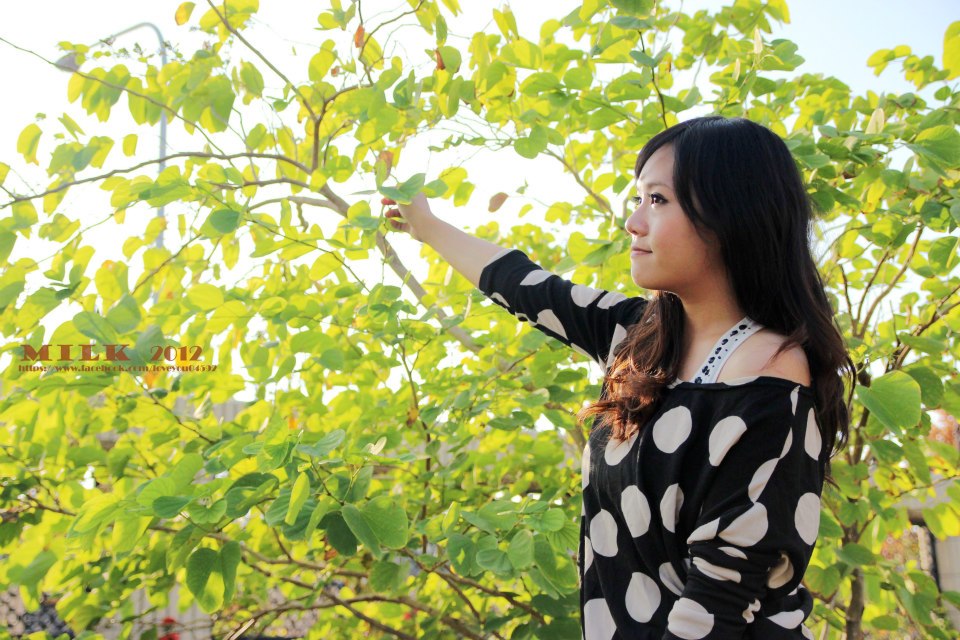http://i.dcview.tw/gallery/201212/c08173f605576664dc3ed5ddd8026e19.jpg