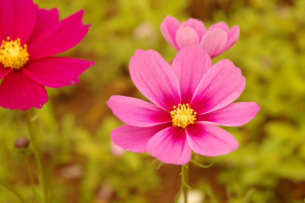 http://i.dcview.tw/gallery/201212/c94a7b5d10f3bdaf2c24cace82ad89c7.jpg