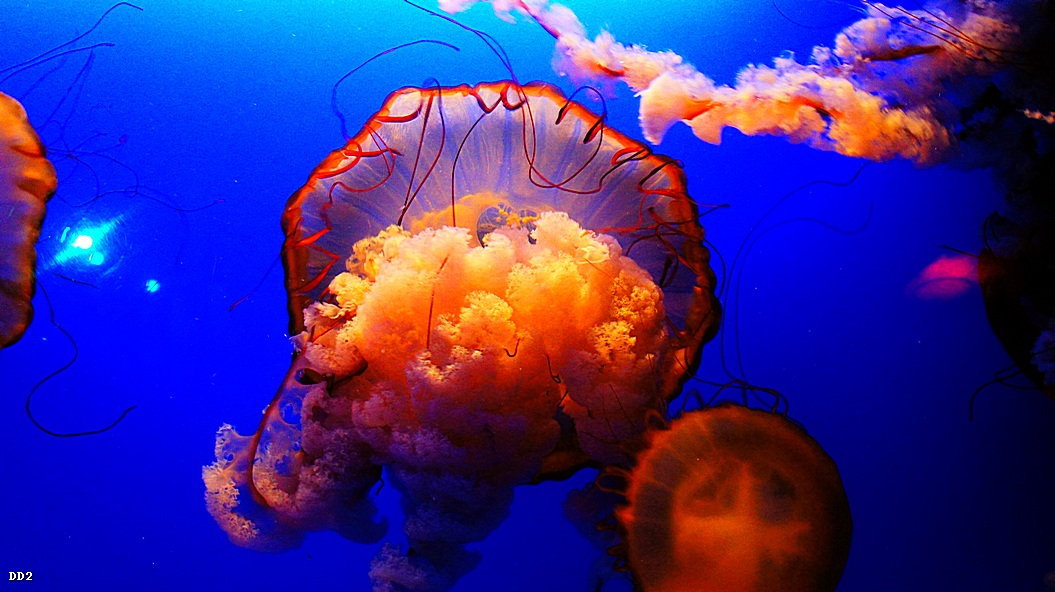 http://i.dcview.tw/gallery/201212/cc3390663c274fe78a8774dfc66330f6.jpg