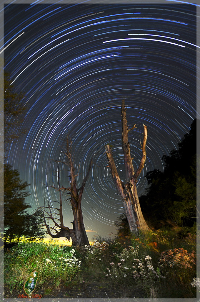 http://i.dcview.tw/gallery/201212/cf475c8a1000790c9f80019f2a5db01d.jpg