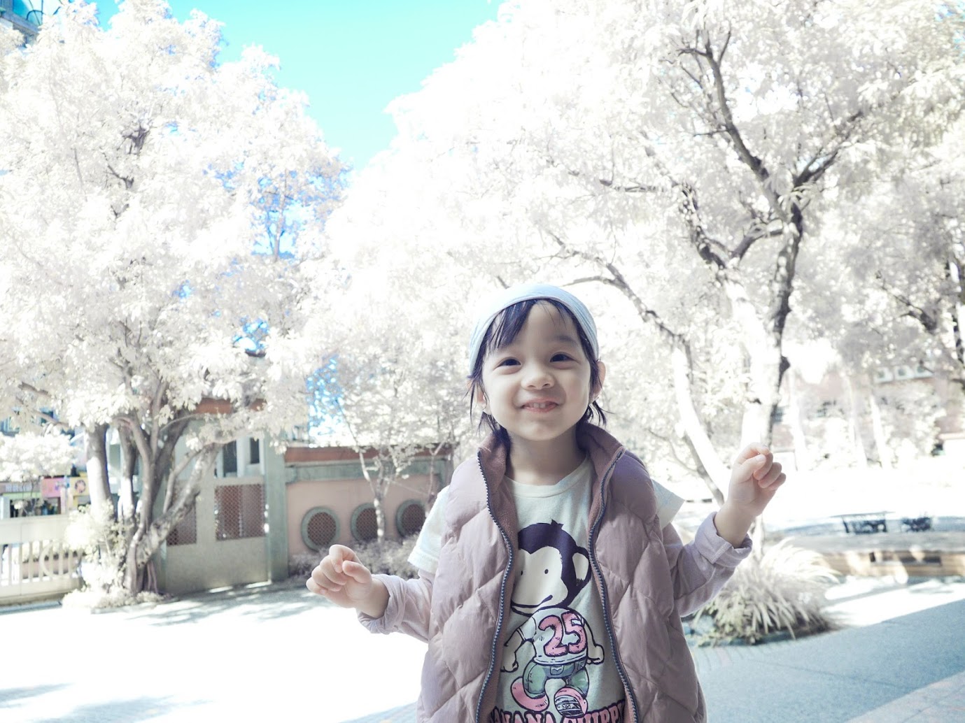 http://i.dcview.tw/gallery/201212/d1e1ed45cf64e352498bb0e1a447a05e.jpg