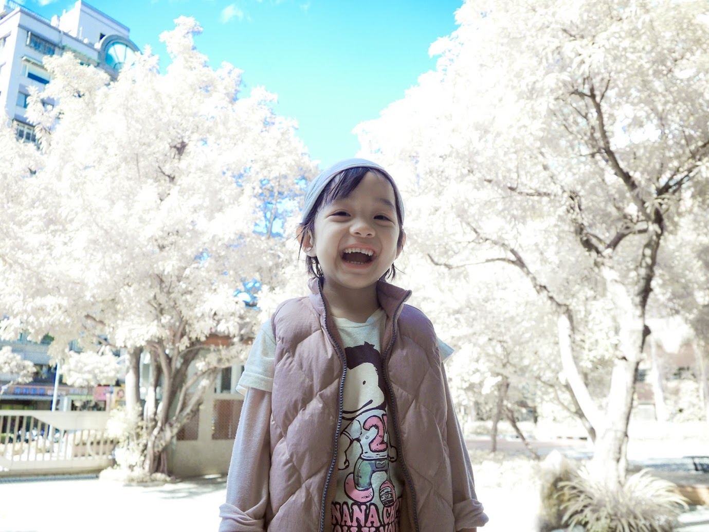 http://i.dcview.tw/gallery/201212/d42c6a4d39ab1b215c543e435f95500b.jpg