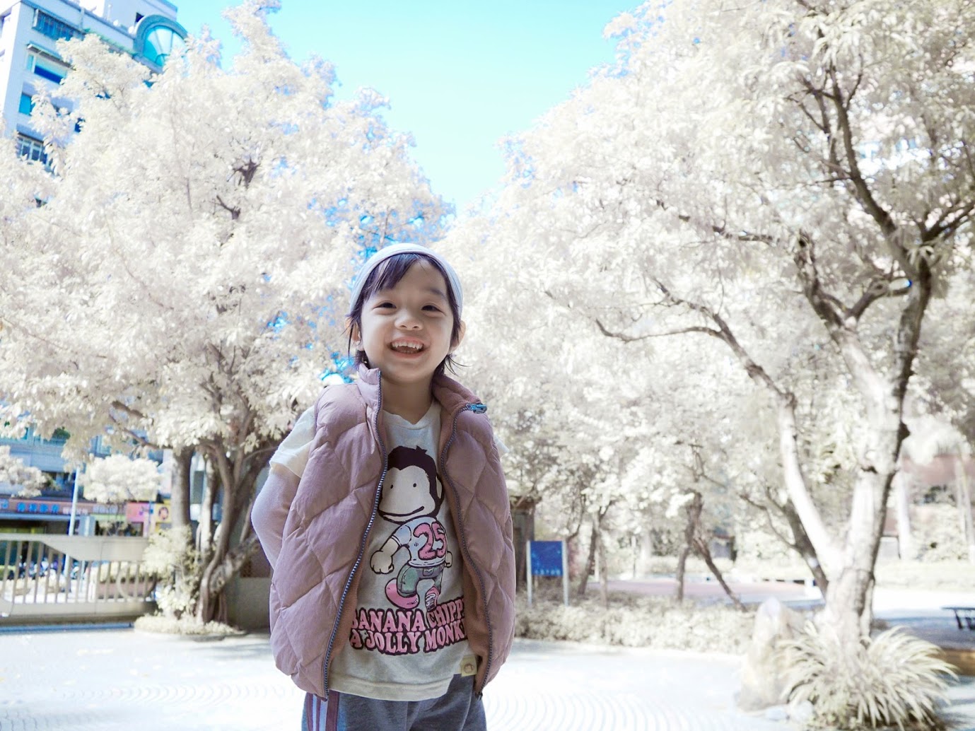 http://i.dcview.tw/gallery/201212/d70ede738006ac74482b5d59d725c5be.jpg