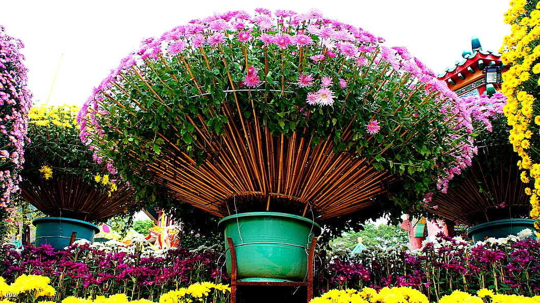 http://i.dcview.tw/gallery/201212/dd73d6af7f471a43c35e7015dcf192d1.jpg