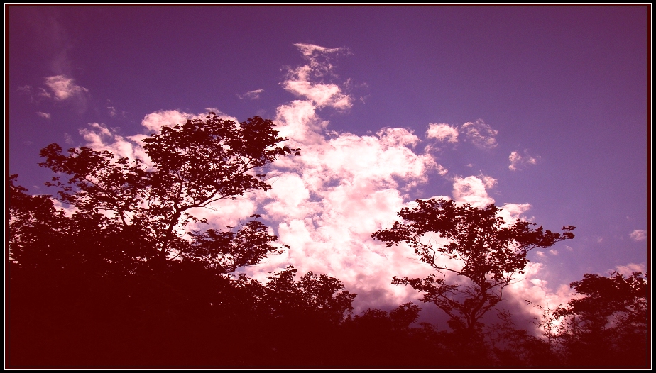 http://i.dcview.tw/gallery/201212/ddabac7e73dd8b3608176d43b6dfc586.jpg