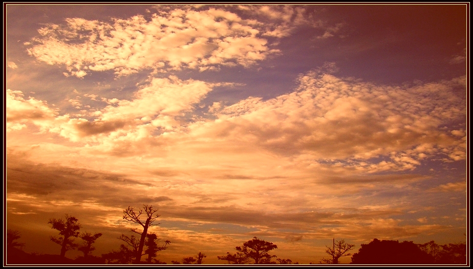http://i.dcview.tw/gallery/201212/e1b4c22a8ee7690260715de4cf0bdc0e.jpg