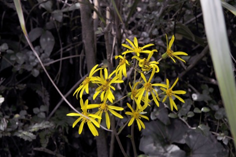 http://i.dcview.tw/gallery/201212/e50a2529f9c099daad7886811539ef25.jpg