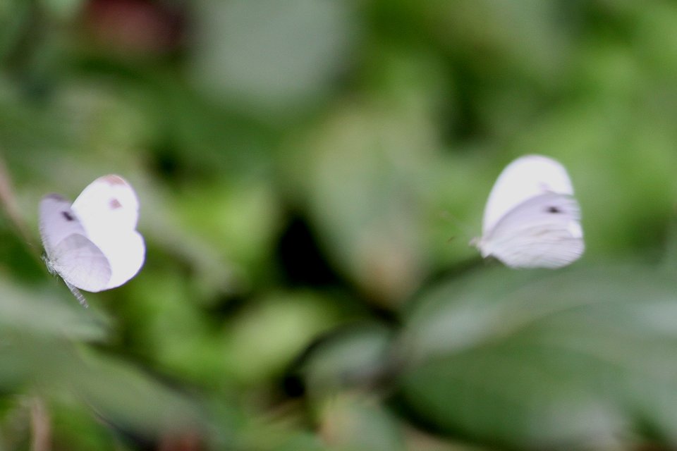 http://i.dcview.tw/gallery/201212/e8c704f9e31f600527960bfeb16ffb59.jpg