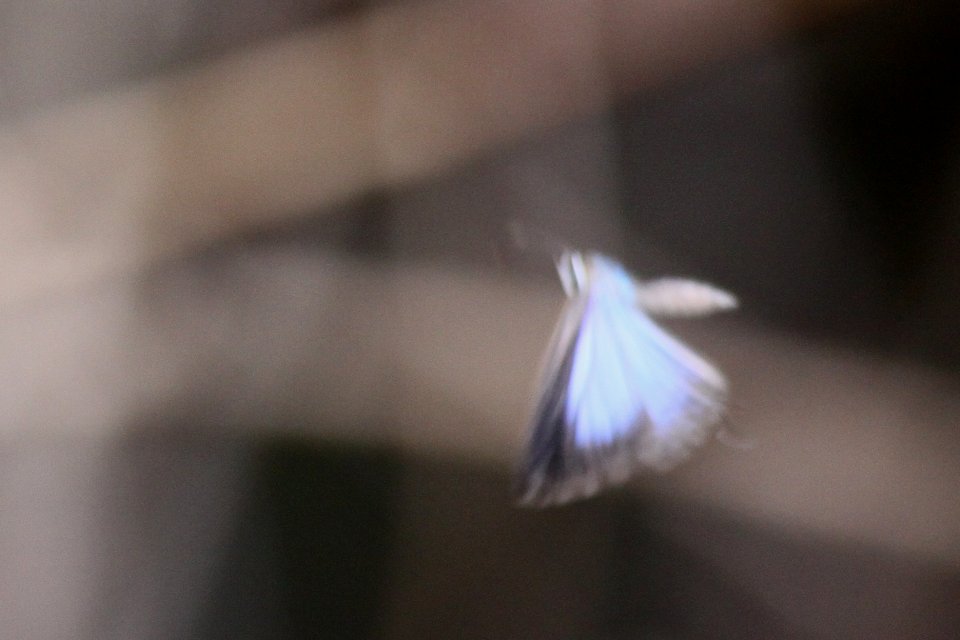 http://i.dcview.tw/gallery/201212/e9046a193f34e4fb0a7dd911475f0f0d.jpg