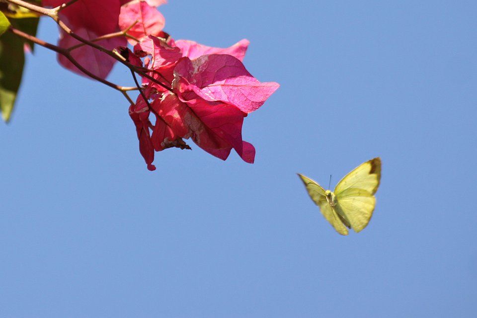 http://i.dcview.tw/gallery/201212/eb196bcdfbd48a1726a89af6ec5d8e4c.jpg