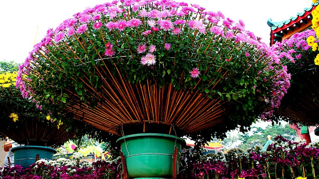 http://i.dcview.tw/gallery/201212/eb7a22aa79dbe8b6a00902646581fbd5.jpg