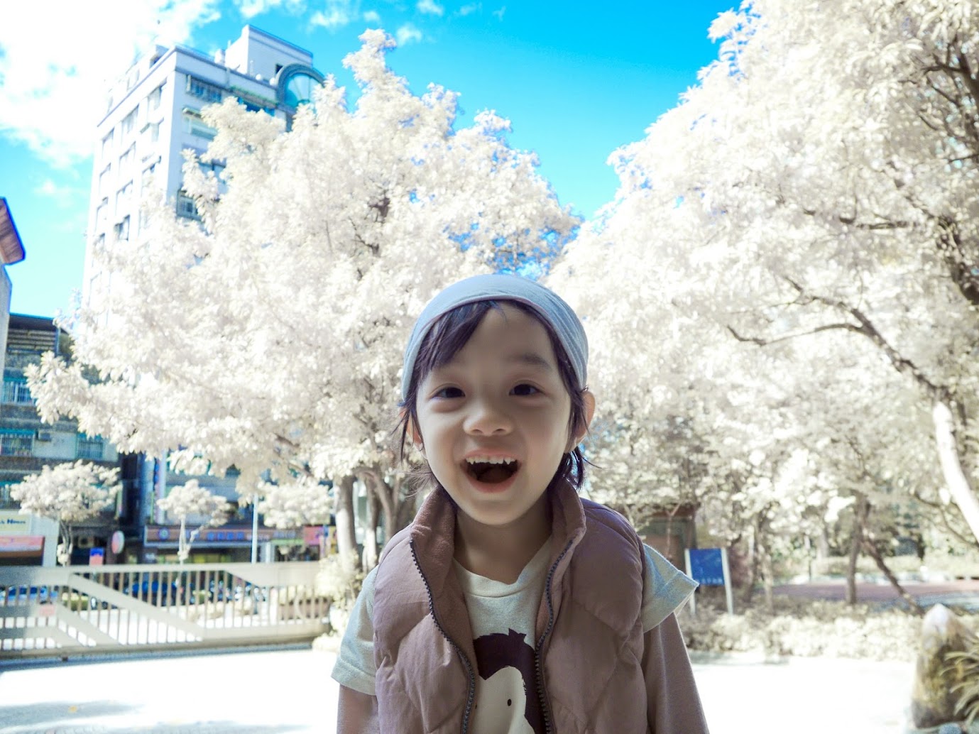 http://i.dcview.tw/gallery/201212/efe859452cda92dd16b22df5e37728cc.jpg