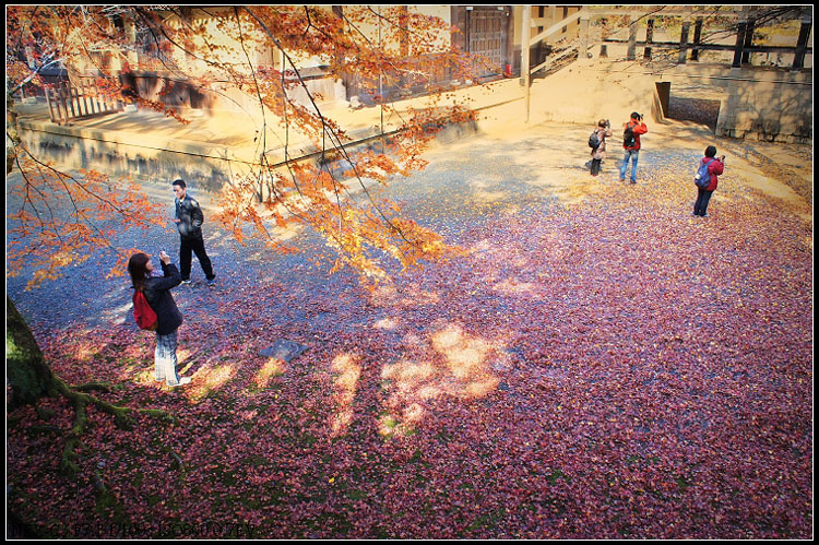 http://i.dcview.tw/gallery/201301/032c2f6b452a5a8f75b45aa6bdc1445a.jpg
