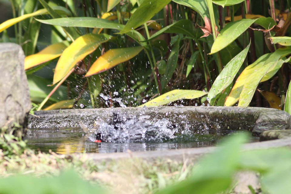 http://i.dcview.tw/gallery/201301/103f98d040fc14e5e1a6f69d516acf38.jpg