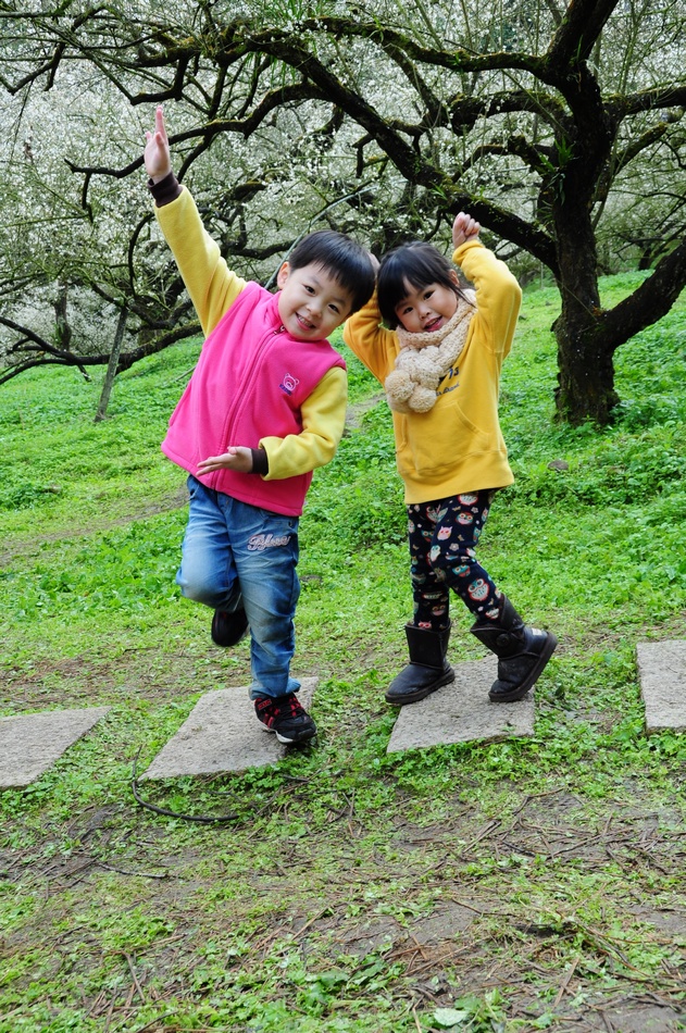 http://i.dcview.tw/gallery/201301/10c045333fff17f83b5c0bc4183e8e5a.jpg
