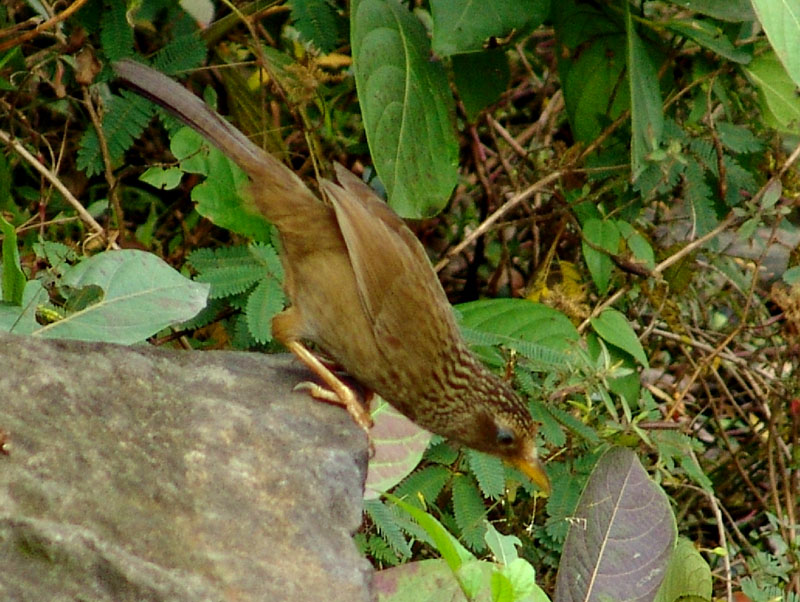 http://i.dcview.tw/gallery/201301/174778e23d82f3177b8c45eb02e34348.jpg