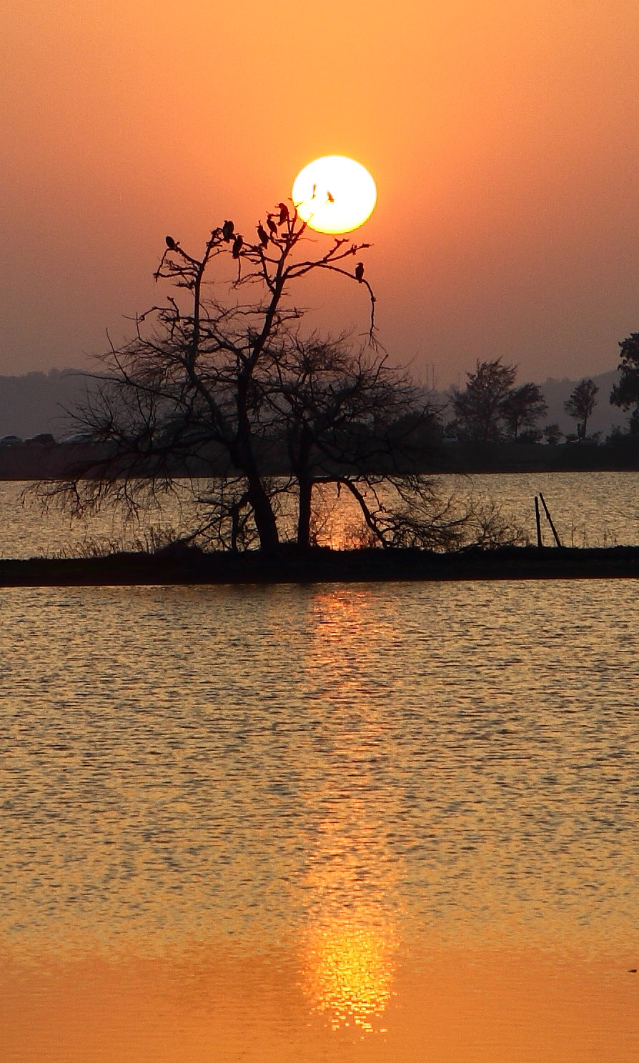 http://i.dcview.tw/gallery/201301/190b7ef092701ed3a793b950dacfcf8e.jpg