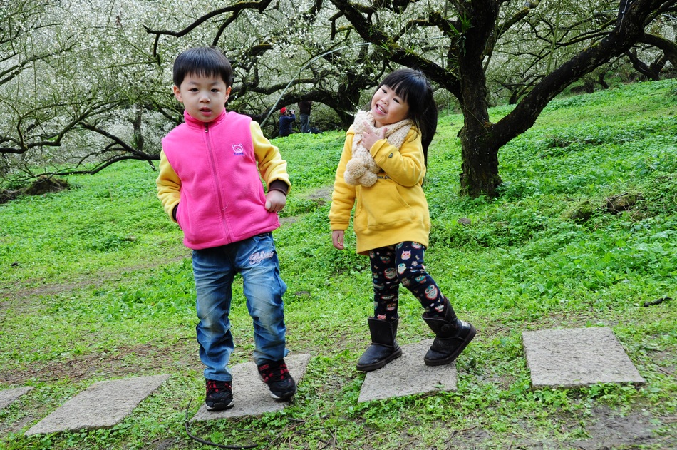 http://i.dcview.tw/gallery/201301/19af24ce816bce563f42bcd5277da147.jpg