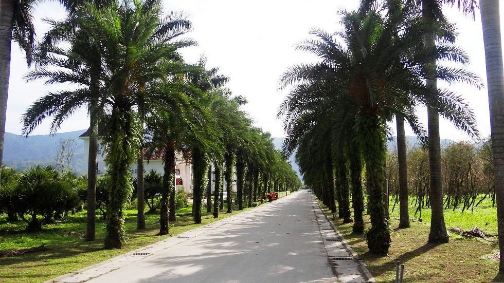 http://i.dcview.tw/gallery/201301/1d13146d39aaf95e12c0a4d27564897e.jpg