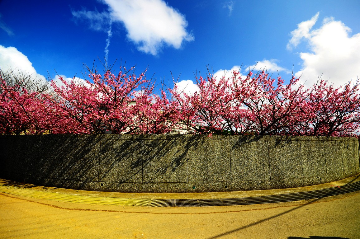 http://i.dcview.tw/gallery/201301/1d5e272ed1f52d664f0aeba1d954101f.jpg
