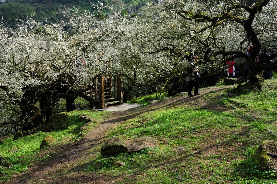 http://i.dcview.tw/gallery/201301/20aba57f9768ae3494b6b2ea593ec0f8.jpg