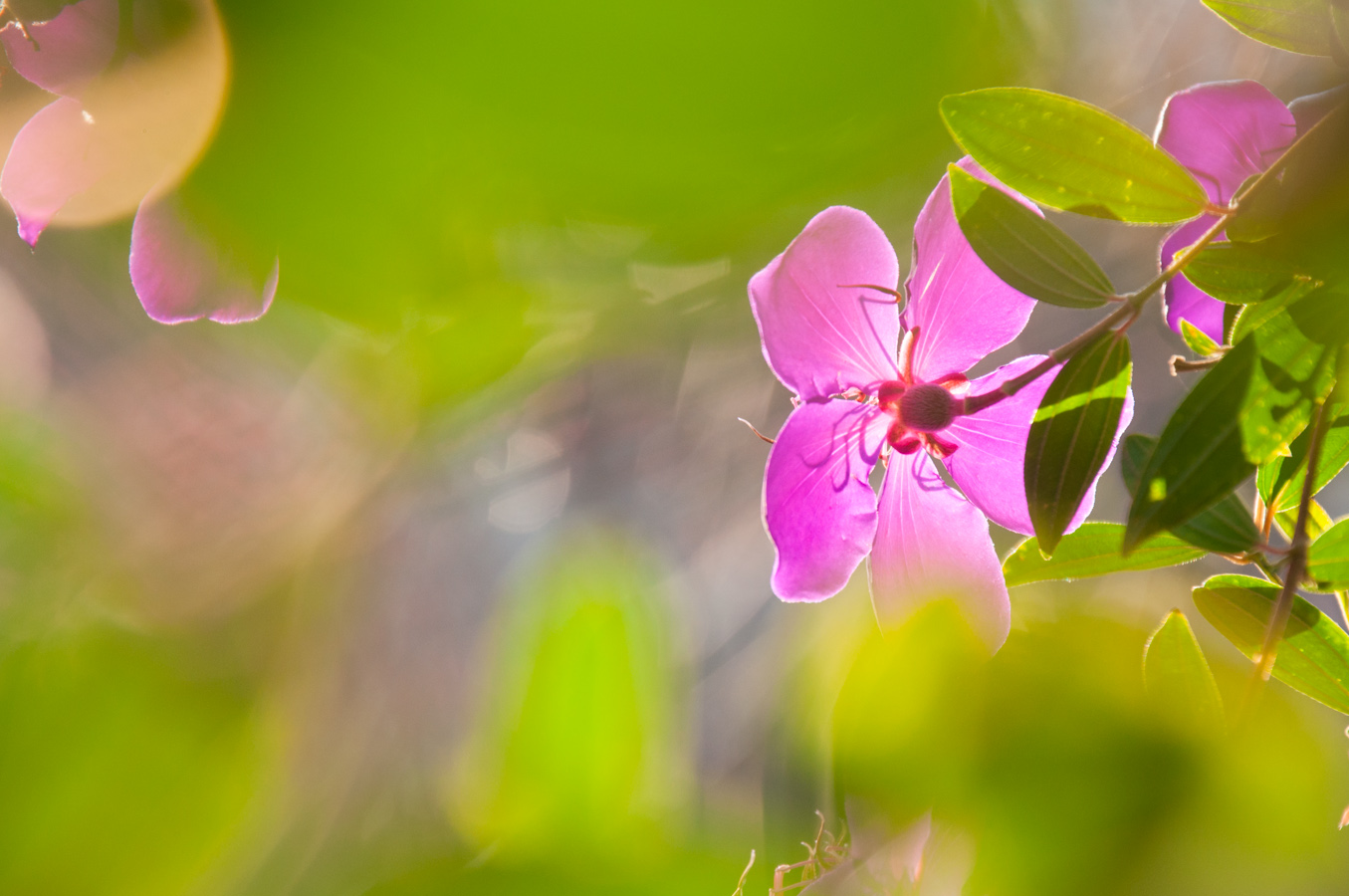 http://i.dcview.tw/gallery/201301/2190417117dae11264a34598ec041cf9.jpg