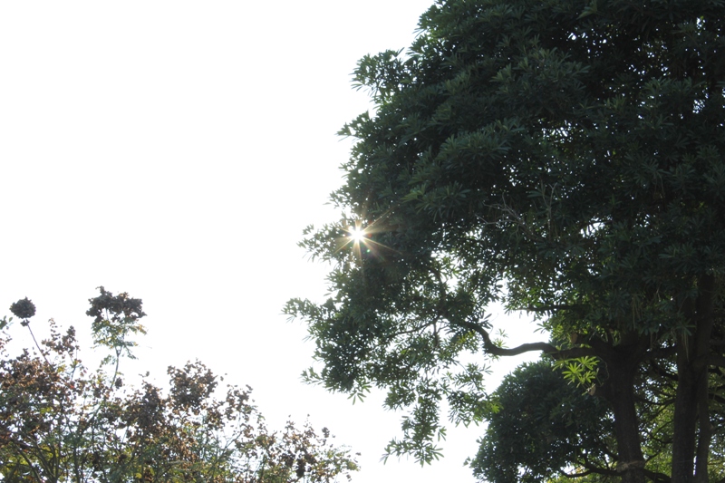 http://i.dcview.tw/gallery/201301/331503a5120123d0f875c03fd254b952.jpg