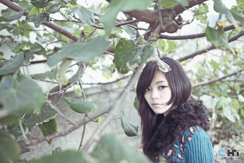http://i.dcview.tw/gallery/201301/39272dfa93bc30e703f6cf5c006bb8f4.jpg