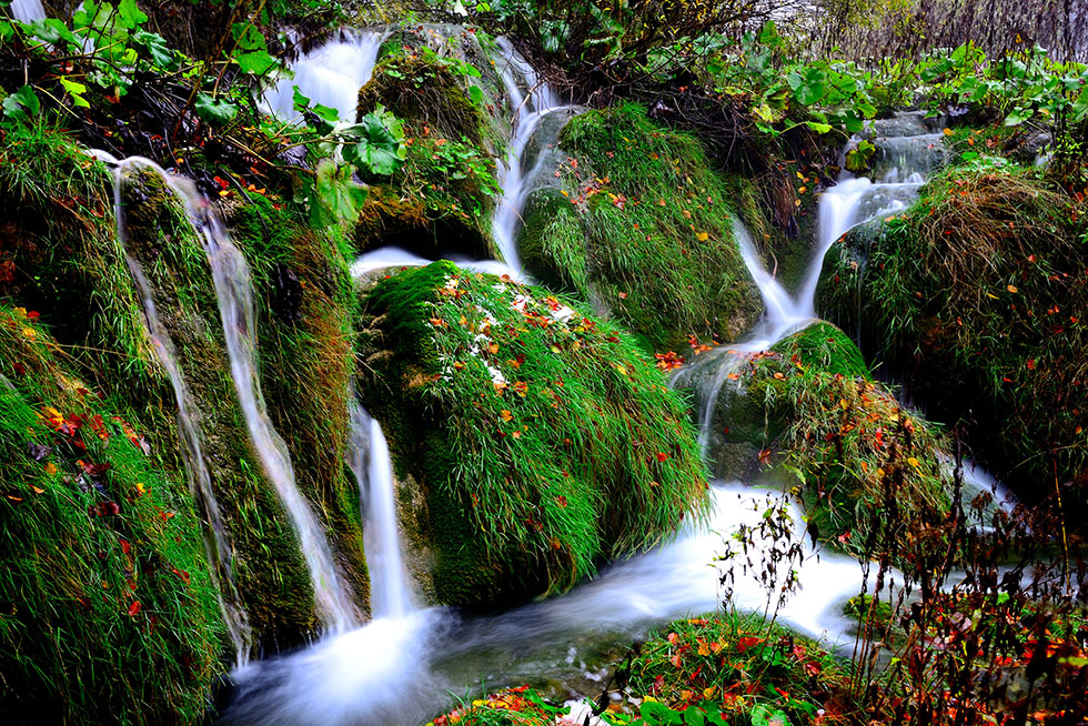 http://i.dcview.tw/gallery/201301/3a43df6b7725539ca170ed8d015ca58a.jpg
