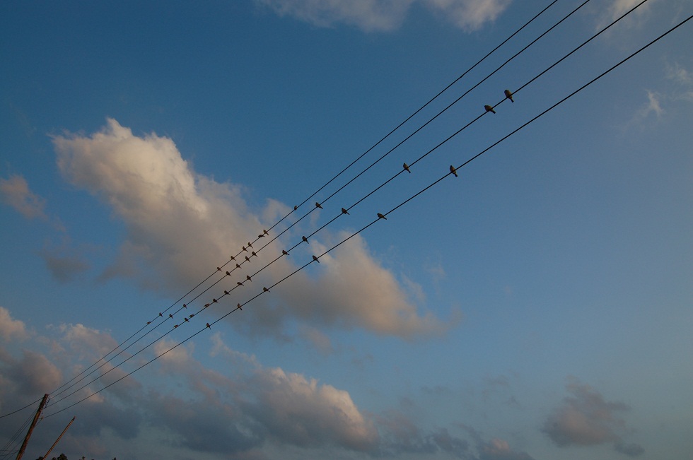 http://i.dcview.tw/gallery/201301/54f64b4bcb0d82ec22ff3e64af5d43a2.jpg