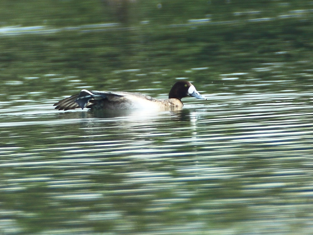 http://i.dcview.tw/gallery/201301/59d24ce185023624e0d195e5547fe606.jpg