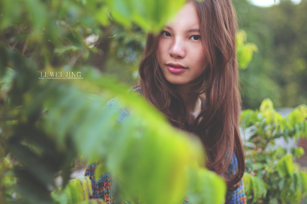 http://i.dcview.tw/gallery/201301/5c6c05b66ac4cdee7deec0783e9d4b0d.jpg