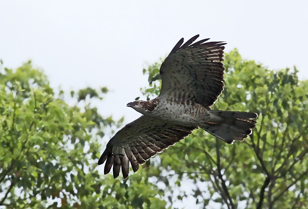 http://i.dcview.tw/gallery/201301/5d1fbec94a7932d6baa4814b9e80ad17.jpg