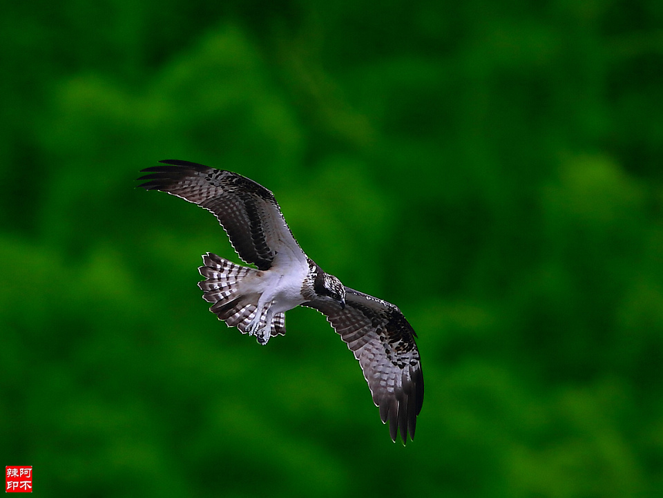 http://i.dcview.tw/gallery/201301/5d948b79f2531a7b369f657c2c9522e4.jpg