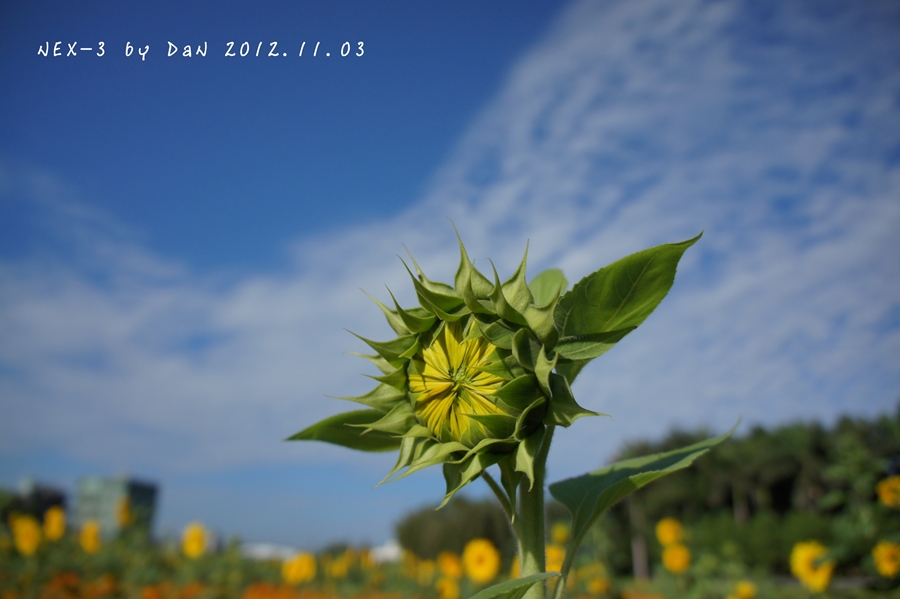 http://i.dcview.tw/gallery/201301/64a6ac280810a89f75b49c37869ea017.jpg