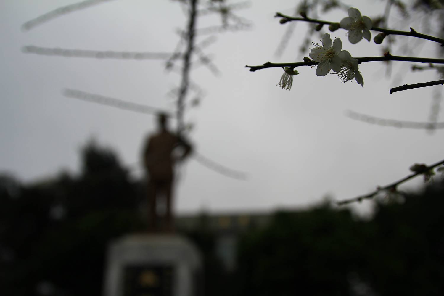 http://i.dcview.tw/gallery/201301/728f4cb8523e4791218270f0521145eb.jpg