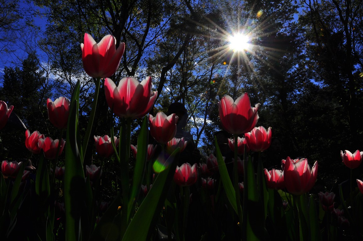 http://i.dcview.tw/gallery/201301/7bbeead00b9ec5087f3cf4d69908227f.jpg