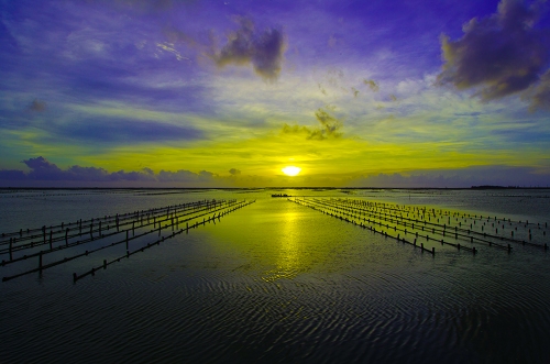 http://i.dcview.tw/gallery/201301/849f66e54c582a6b06165a59c6eee262.jpg